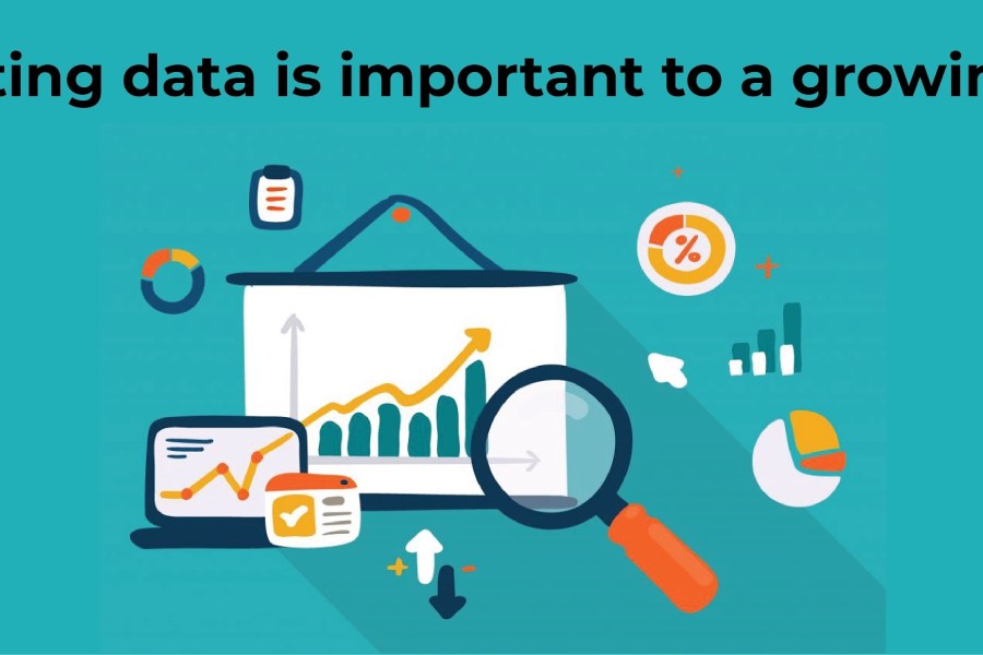 Why Marketing data is important to a growing business?